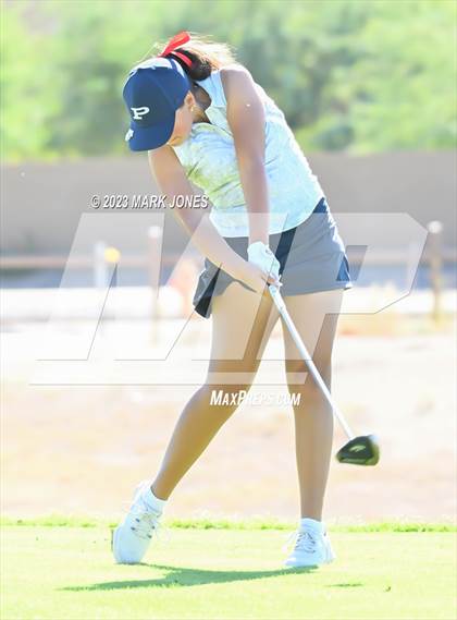 Thumbnail 3 in AIA DI Girls State Championships  photogallery.