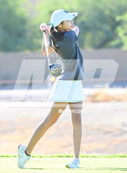 Thumbnail 2 in AIA DI Girls State Championships  photogallery.