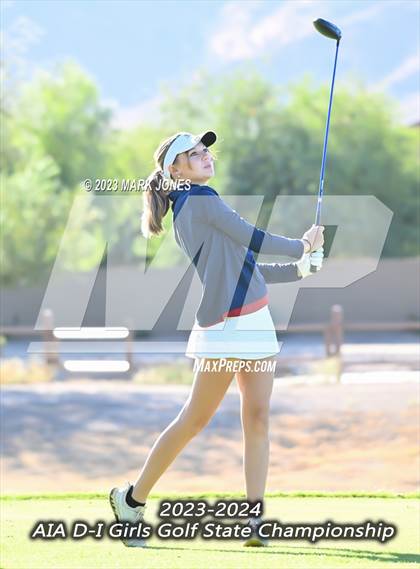 Thumbnail 1 in AIA DI Girls State Championships  photogallery.
