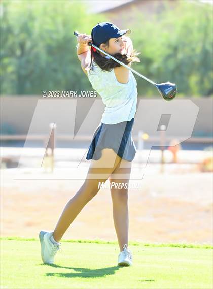 Thumbnail 1 in AIA DI Girls State Championships  photogallery.
