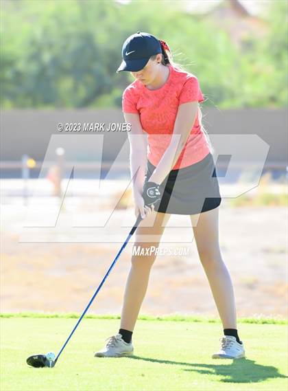 Thumbnail 2 in AIA DI Girls State Championships  photogallery.