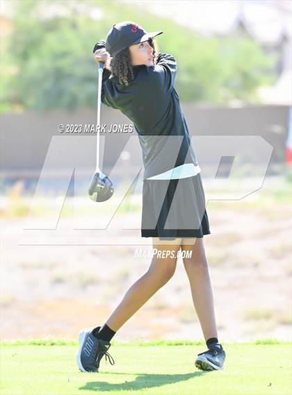 Thumbnail 2 in AIA DI Girls State Championships  photogallery.