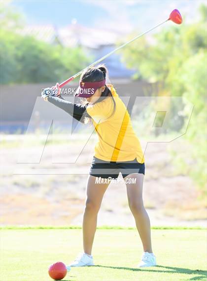 Thumbnail 3 in AIA DI Girls State Championships  photogallery.
