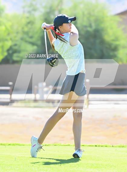 Thumbnail 2 in AIA DI Girls State Championships  photogallery.
