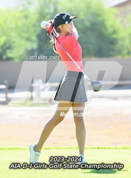 Thumbnail 2 in AIA DI Girls State Championships  photogallery.
