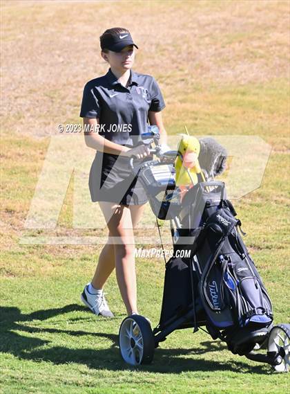 Thumbnail 2 in AIA DI Girls State Championships  photogallery.
