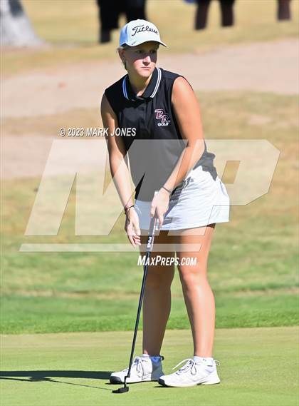 Thumbnail 1 in AIA DI Girls State Championships  photogallery.