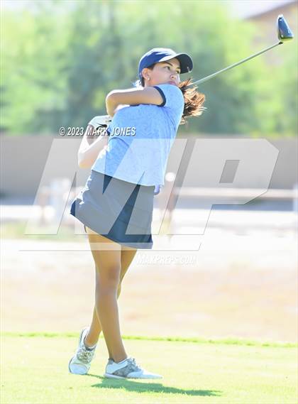 Thumbnail 3 in AIA DI Girls State Championships  photogallery.