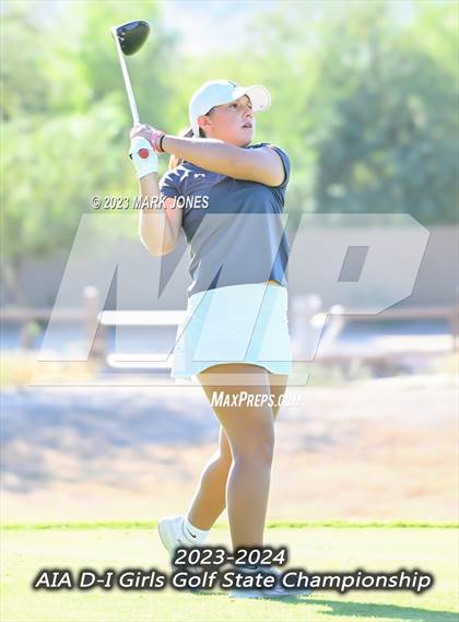 Thumbnail 2 in AIA DI Girls State Championships  photogallery.