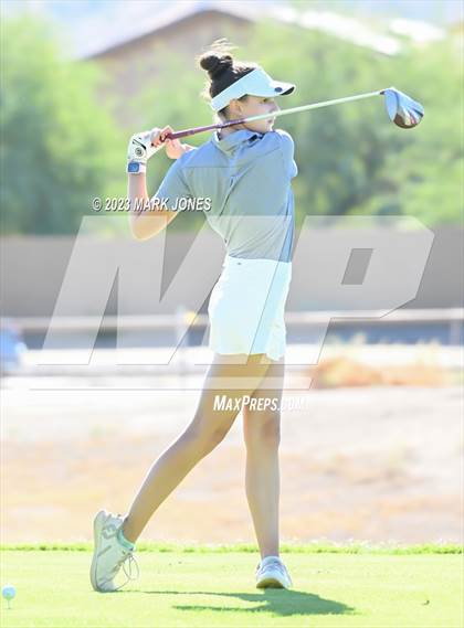 Thumbnail 2 in AIA DI Girls State Championships  photogallery.