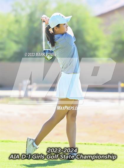 Thumbnail 3 in AIA DI Girls State Championships  photogallery.
