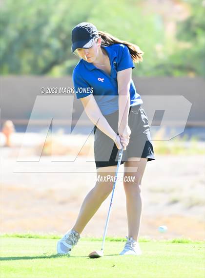 Thumbnail 1 in AIA DI Girls State Championships  photogallery.
