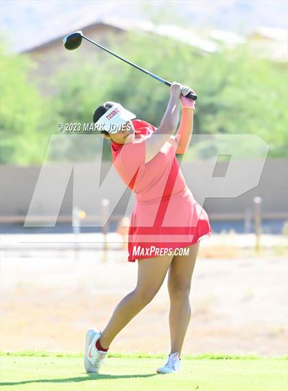 Thumbnail 1 in AIA DI Girls State Championships  photogallery.