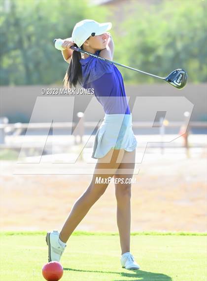 Thumbnail 1 in AIA DI Girls State Championships  photogallery.
