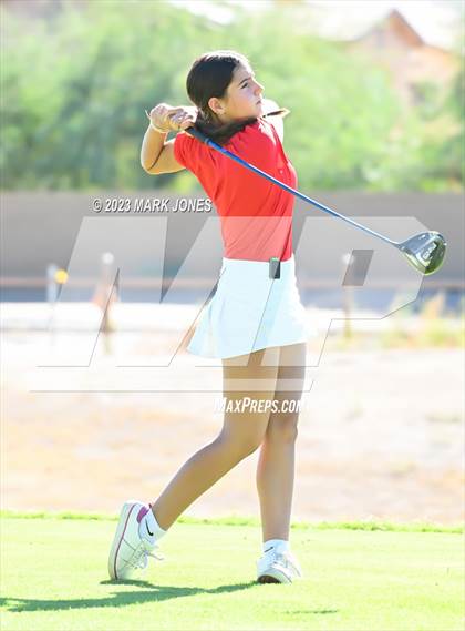 Thumbnail 3 in AIA DI Girls State Championships  photogallery.