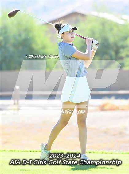 Thumbnail 1 in AIA DI Girls State Championships  photogallery.