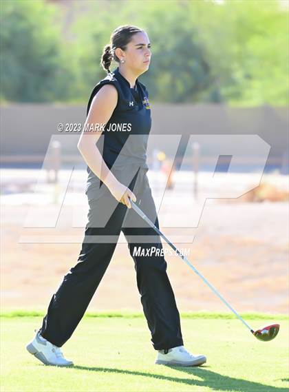 Thumbnail 2 in AIA DI Girls State Championships  photogallery.
