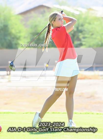 Thumbnail 3 in AIA DI Girls State Championships  photogallery.