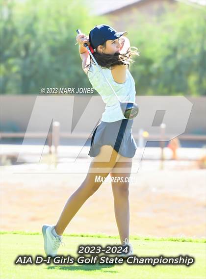 Thumbnail 3 in AIA DI Girls State Championships  photogallery.