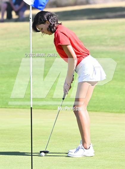 Thumbnail 1 in AIA DI Girls State Championships  photogallery.