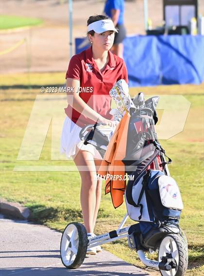 Thumbnail 2 in AIA DI Girls State Championships  photogallery.
