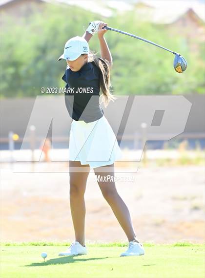 Thumbnail 1 in AIA DI Girls State Championships  photogallery.
