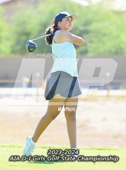 Thumbnail 3 in AIA DI Girls State Championships  photogallery.