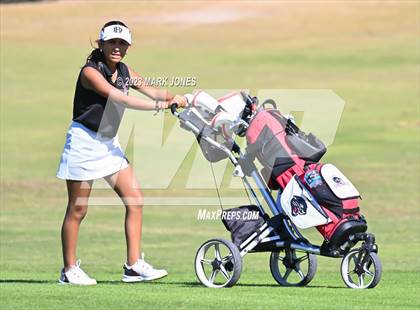 Thumbnail 1 in AIA DI Girls State Championships  photogallery.