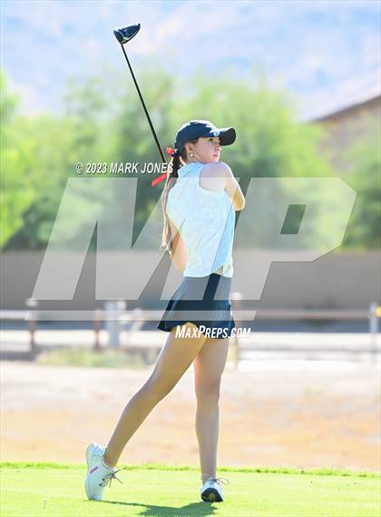 Thumbnail 1 in AIA DI Girls State Championships  photogallery.