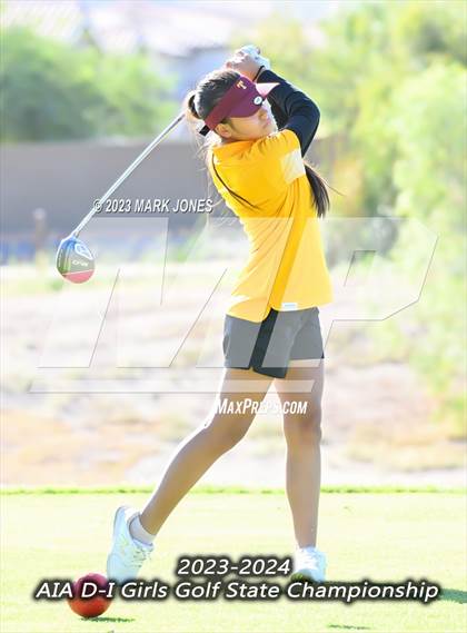 Thumbnail 1 in AIA DI Girls State Championships  photogallery.