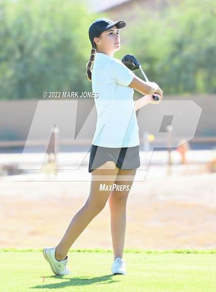 Thumbnail 2 in AIA DI Girls State Championships  photogallery.