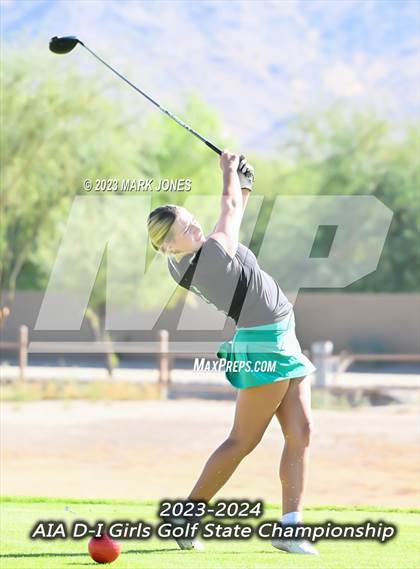 Thumbnail 2 in AIA DI Girls State Championships  photogallery.