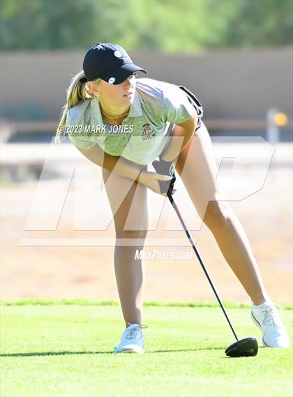 Thumbnail 2 in AIA DI Girls State Championships  photogallery.
