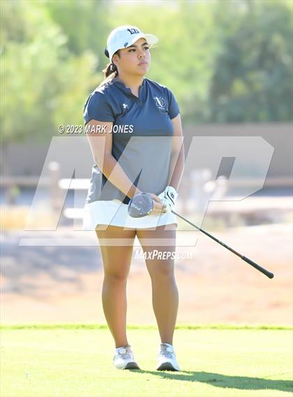 Thumbnail 2 in AIA DI Girls State Championships  photogallery.