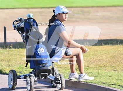 Thumbnail 1 in AIA DI Girls State Championships  photogallery.