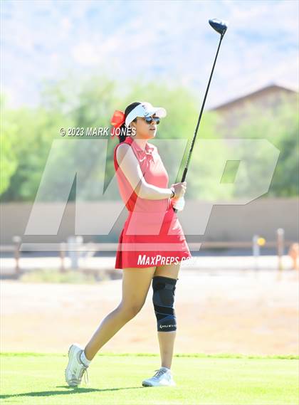 Thumbnail 3 in AIA DI Girls State Championships  photogallery.