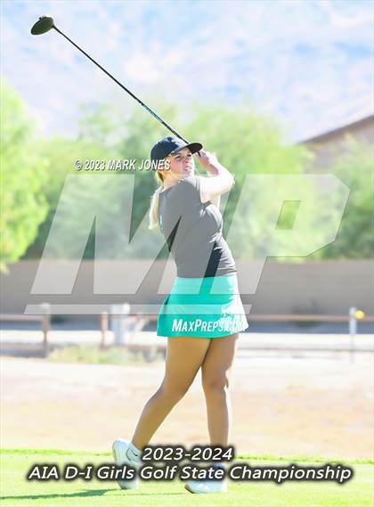 Thumbnail 1 in AIA DI Girls State Championships  photogallery.