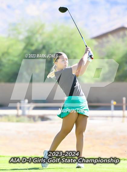Thumbnail 3 in AIA DI Girls State Championships  photogallery.
