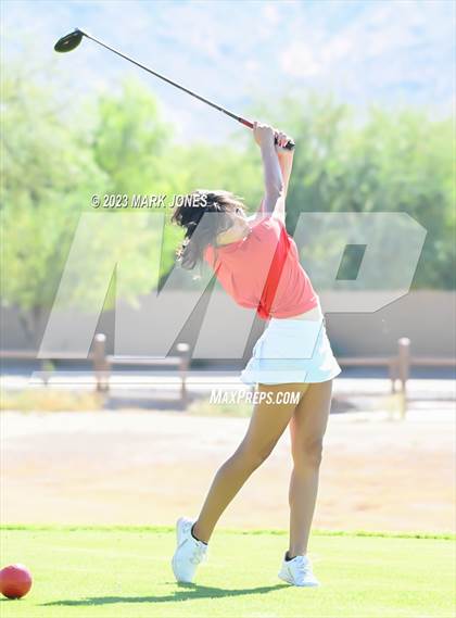 Thumbnail 1 in AIA DI Girls State Championships  photogallery.