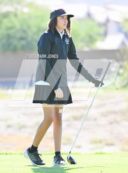 Thumbnail 1 in AIA DI Girls State Championships  photogallery.