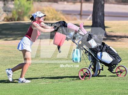 Thumbnail 3 in AIA DI Girls State Championships  photogallery.