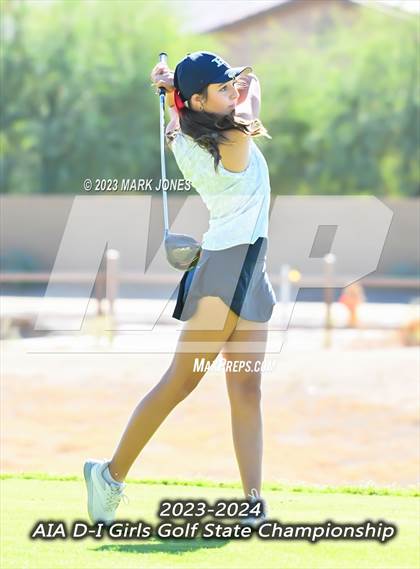 Thumbnail 1 in AIA DI Girls State Championships  photogallery.