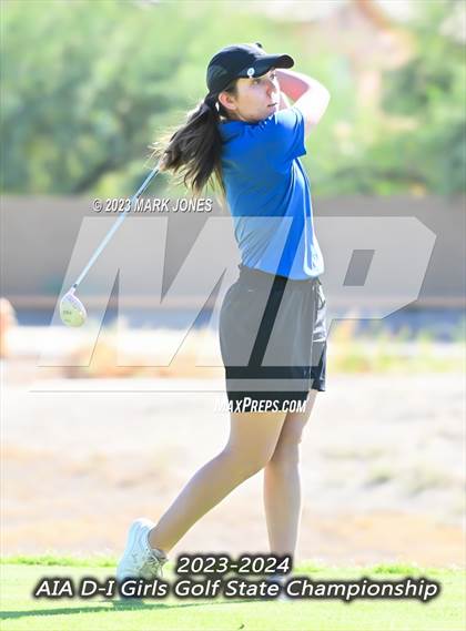 Thumbnail 1 in AIA DI Girls State Championships  photogallery.