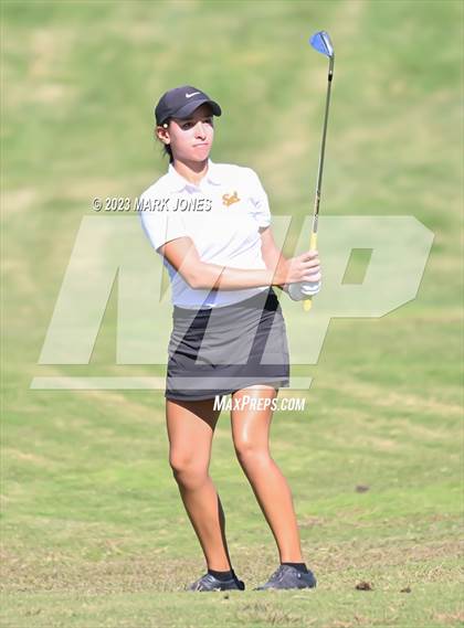 Thumbnail 3 in AIA DI Girls State Championships  photogallery.