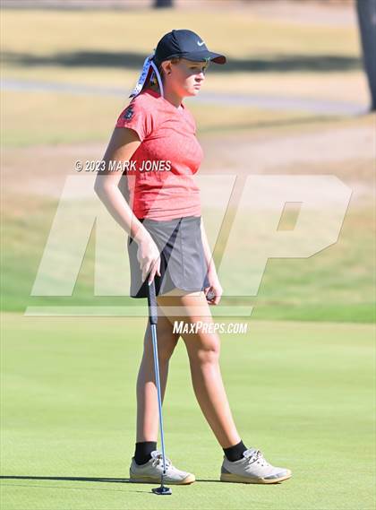 Thumbnail 2 in AIA DI Girls State Championships  photogallery.