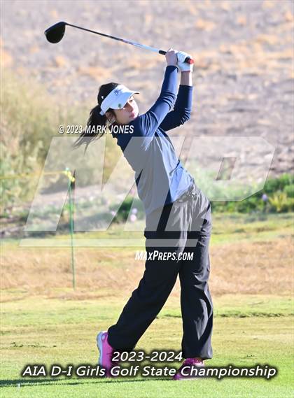 Thumbnail 1 in AIA DI Girls State Championships  photogallery.