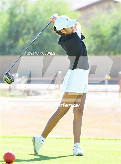 Thumbnail 2 in AIA DI Girls State Championships  photogallery.