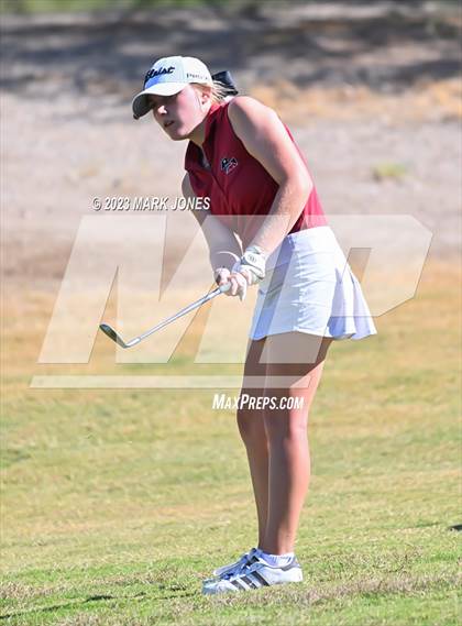 Thumbnail 2 in AIA DI Girls State Championships  photogallery.