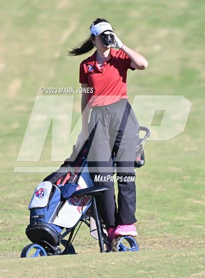 Thumbnail 1 in AIA DI Girls State Championships  photogallery.