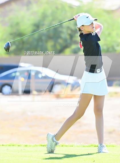 Thumbnail 3 in AIA DI Girls State Championships  photogallery.